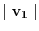 $\mid \mathbf{v_1}\mid$