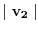 $\mid \mathbf{v_2}\mid$