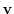 $\mathbf {v}$