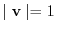 $\mid \mathbf{v}\mid = 1$