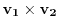 $\mathbf{v_1} \times \mathbf{v_2}$