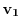 $\mathbf{v_1}$