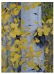 aspen